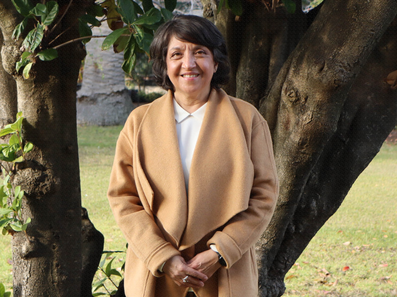 Profesora Doctora Elisa Araya Cortez, Rectora Umce - El concepto estamento pertenece a la universidad decimonónica